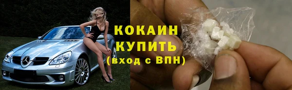 хмурый Гусев