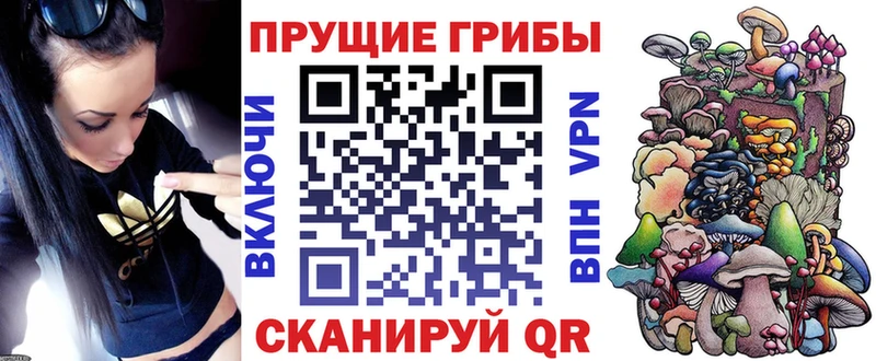 KRAKEN зеркало  Ижевск  Галлюциногенные грибы Psilocybe 